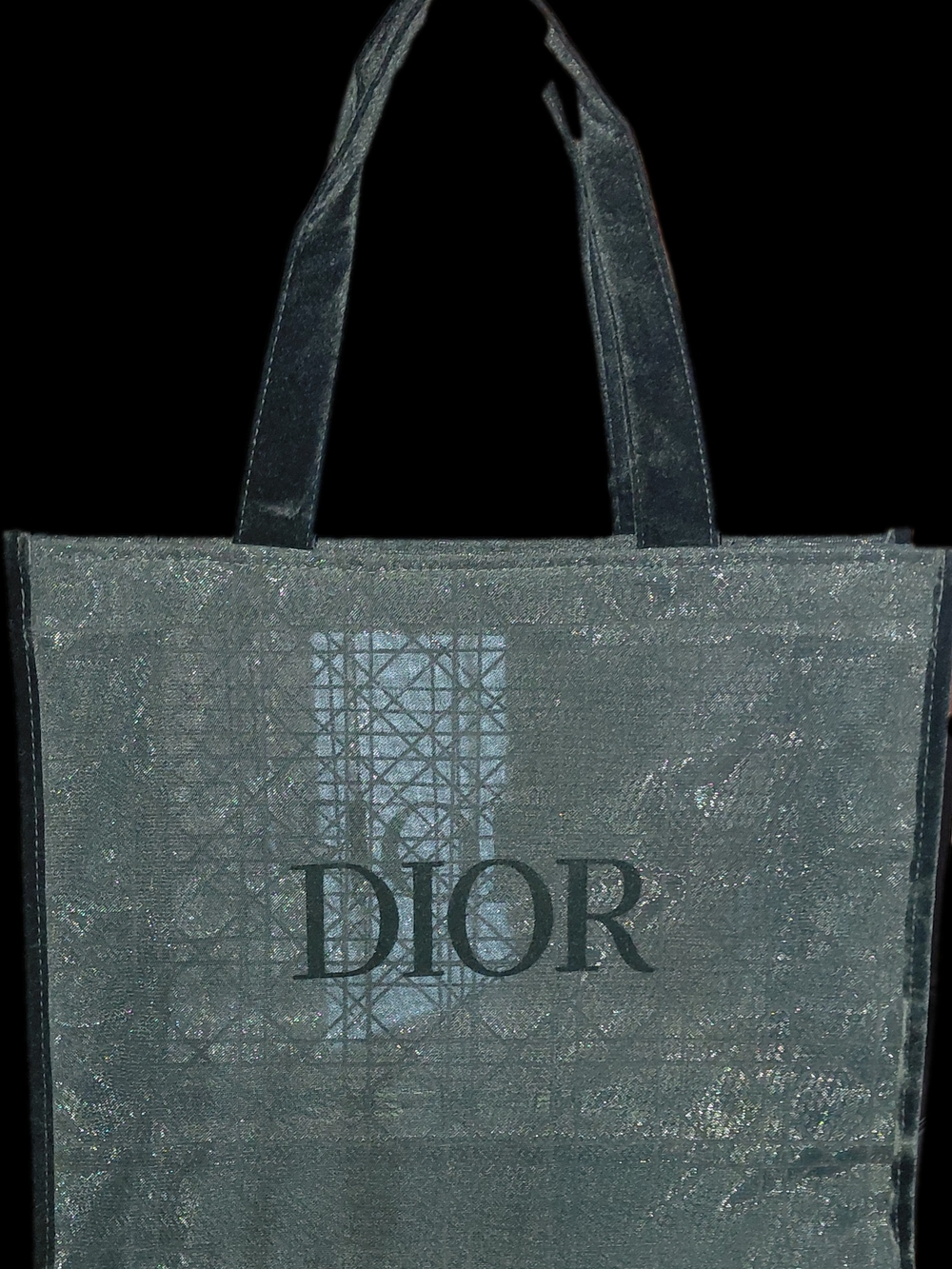 Dior Mesh Black Beauty, Sheer Cannage Pattern, Velvety Handles & Front Logo Nwt - Picture 2 of 4